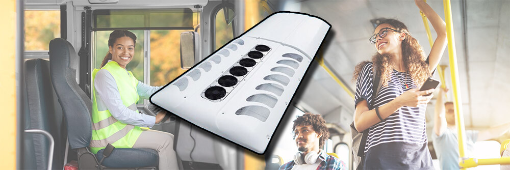 dentro del autobus